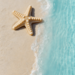 freepik__realistic-starfish-colored-to-match-the-turquoise-__57245