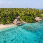 freepik__sea-side-with-tropical-trees-and-houses-crystal-tu__18950